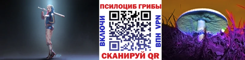 купить   Трубчевск  Галлюциногенные грибы прущие грибы 